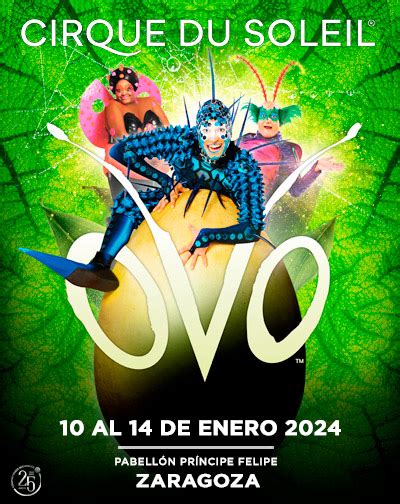 entradas ovo zaragoza|Circo del Sol en Zaragoza 2024: cuando y entradas